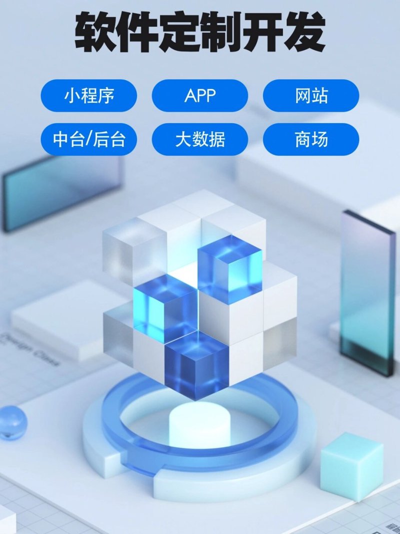 软件定制开发：企业成长的加速器